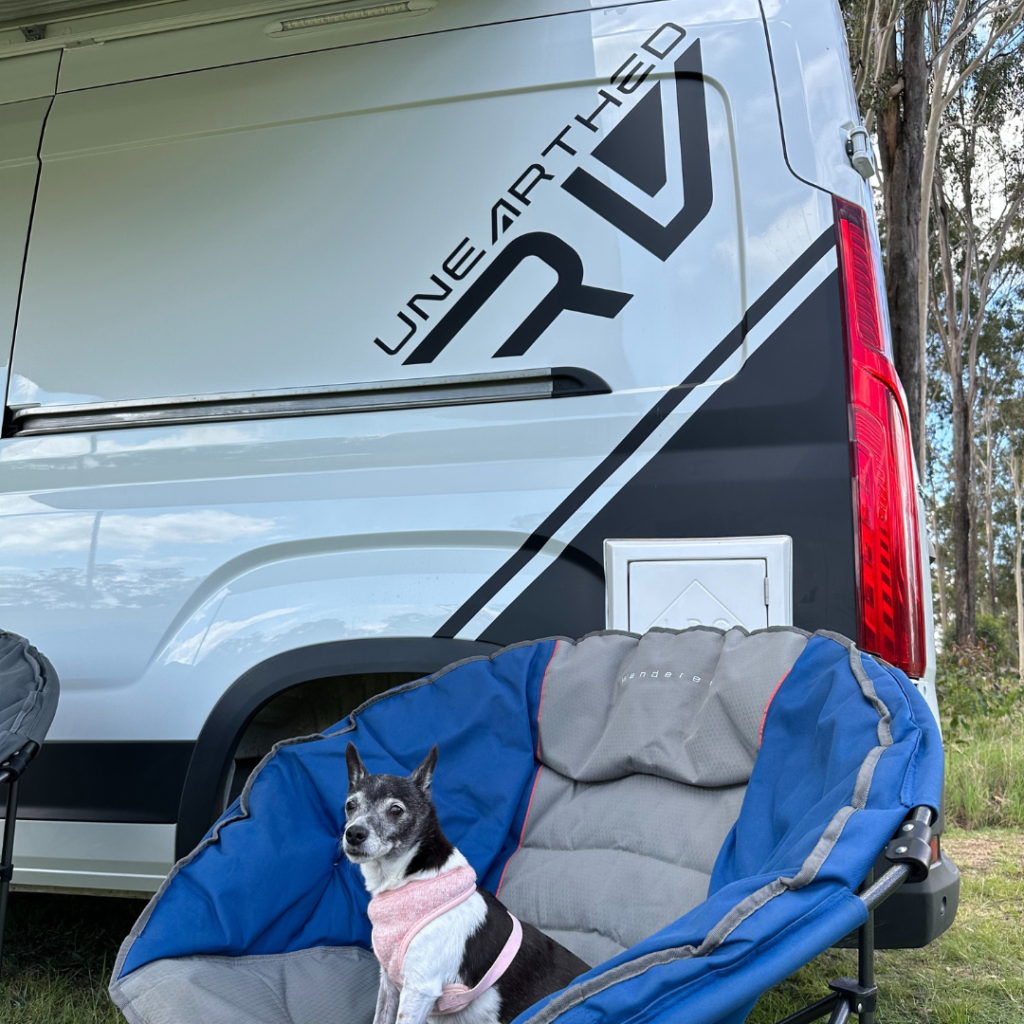 Dog Camping In Campervan